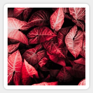 Red Leaves Sticker